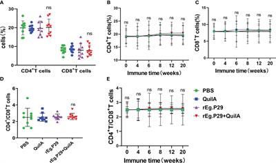 Recombinant antigen P29 of Echinococcus granulosus induces Th1, Tc1, and Th17 cell immune responses in sheep